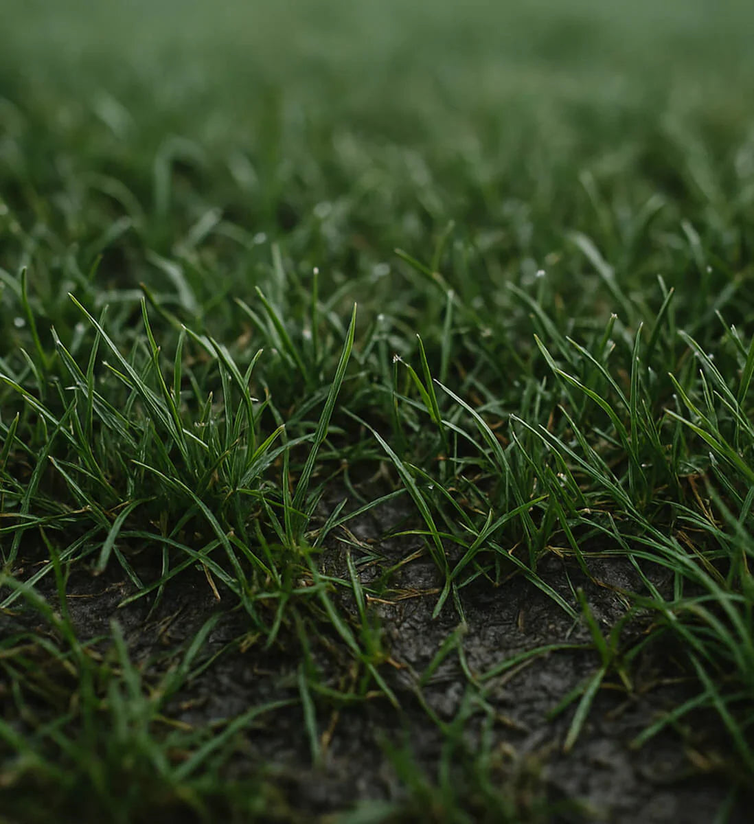 Soft Ground - (SG) – Boot Vault FC